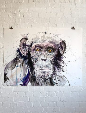 Chimp I XL