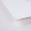 Black rabbit White background - Image 4