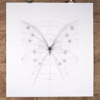 Morpho Butterfly – Clear Geometry by Jessica Albarn - Nelly Duff