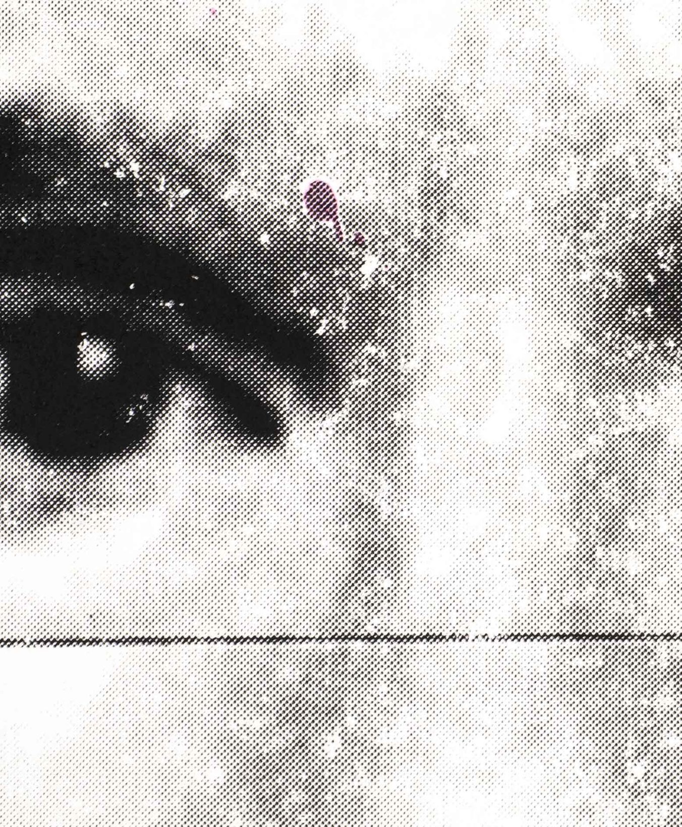 Andy Warhol – Andy - Image 4