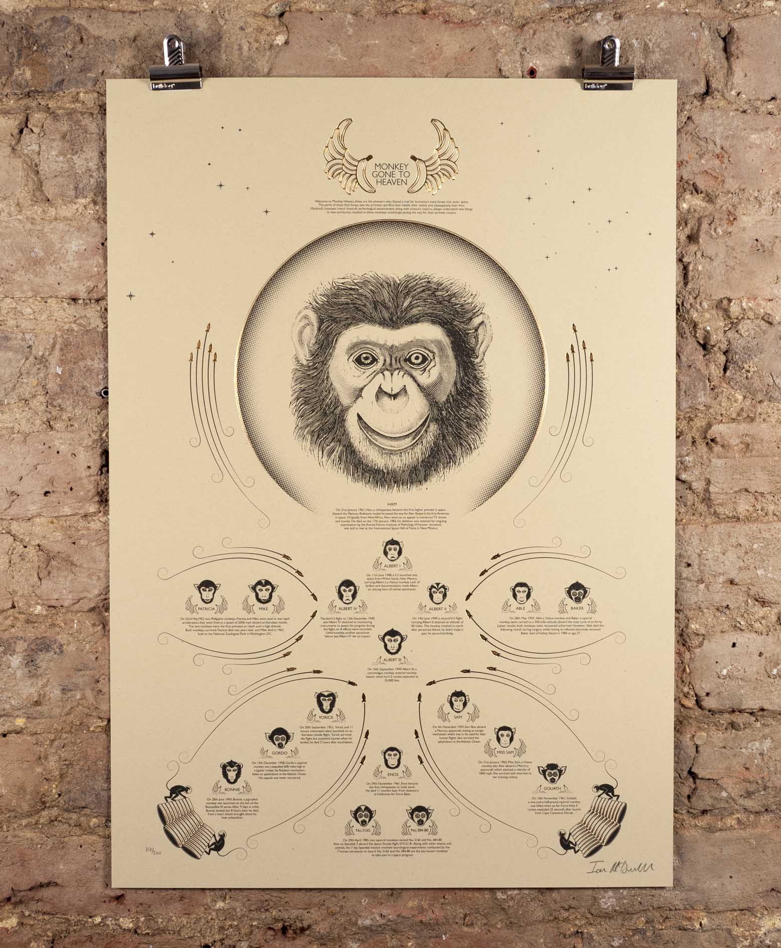 Monkeys Go To Heaven Straw By Ian Mcdonnell Nelly Duff