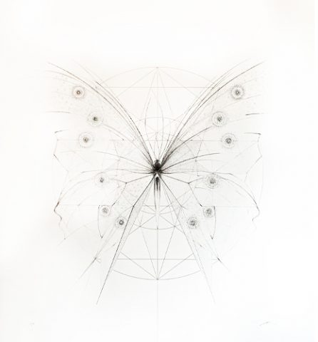 Morpho Butterfly – Gold Geometry & Silver Skeleton by Jessica Albarn ...