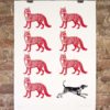 foxes and hound (Black hound)