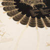 Cream Sheep - Image 4