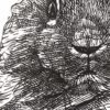 Hand Holding Rabbit - Image 3