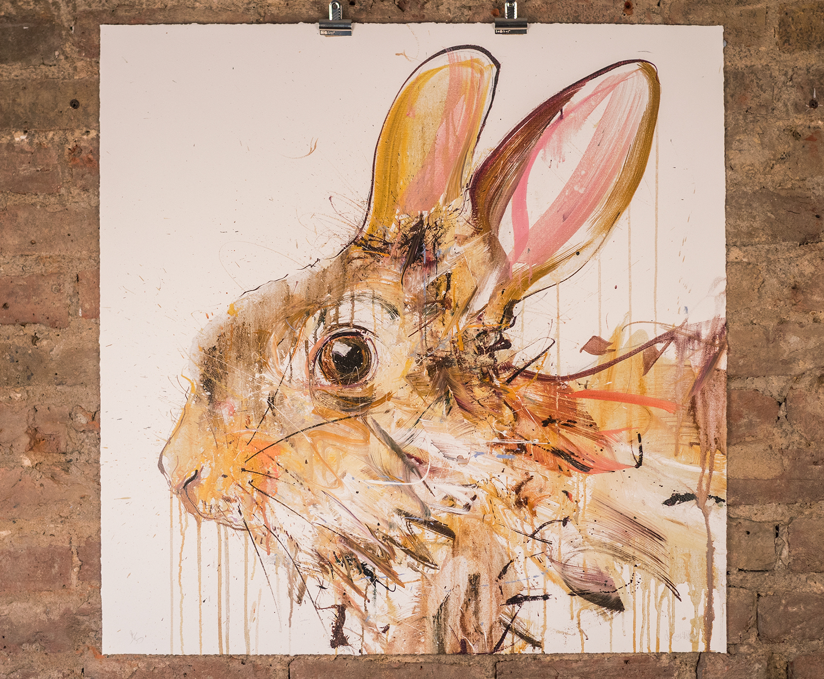 dave white rabbit