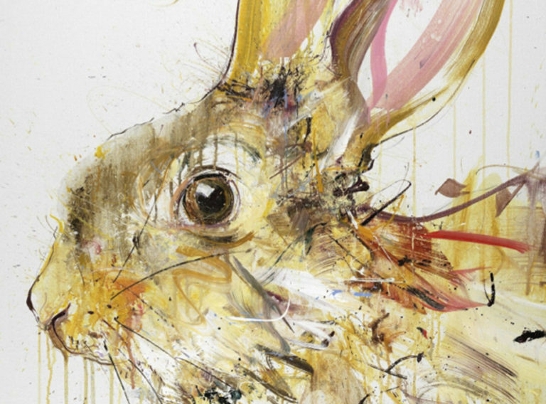 dave white rabbit