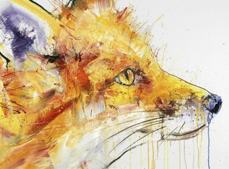 dave white rabbit