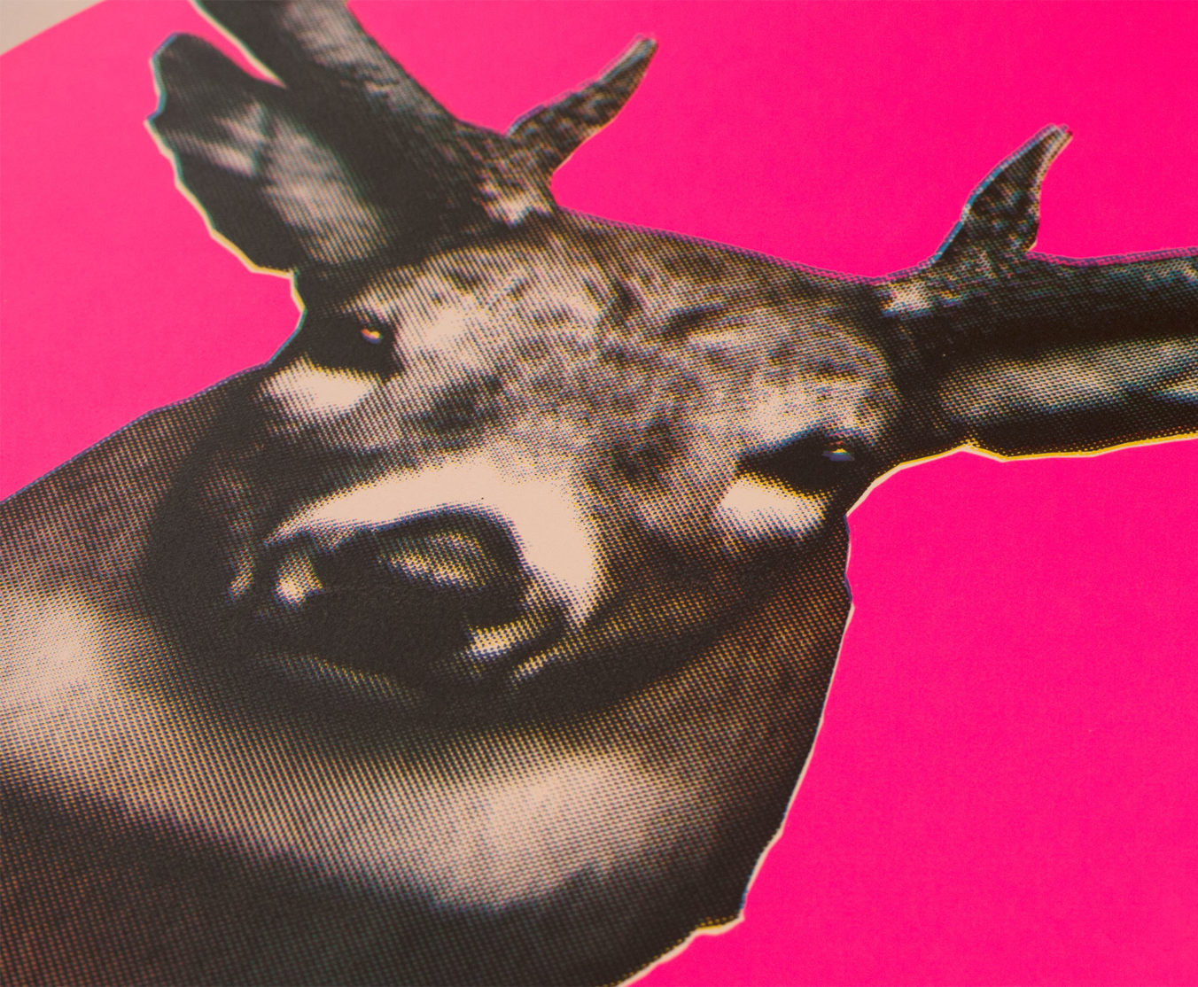 Stag - Image 2