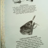 Plenty More Fish - Seaweed - Image 5
