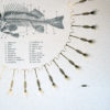 Plenty More Fish - Chip Wrapper - Image 2