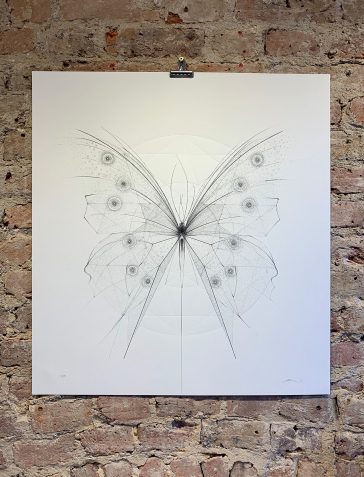 Morpho Butterfly – Clear Geometry