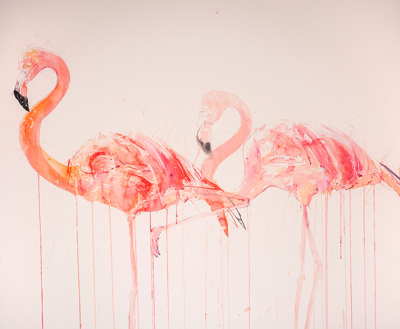 Flamingo Movement - A/P - Image 2