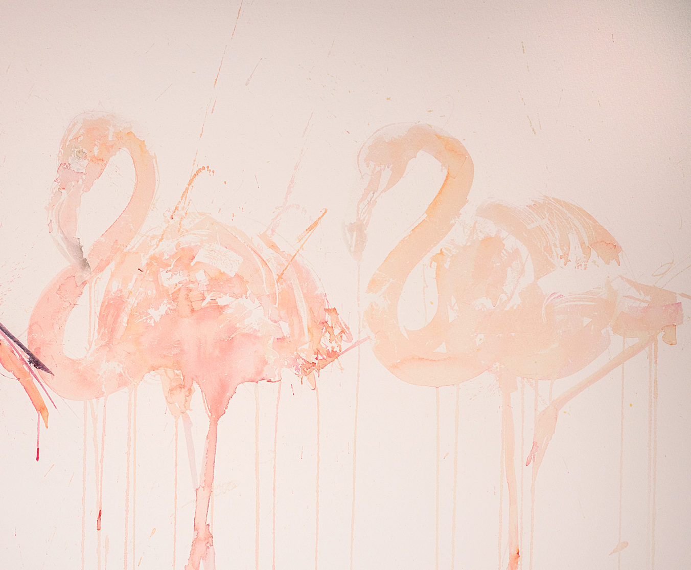 Flamingo Movement - A/P - Image 4