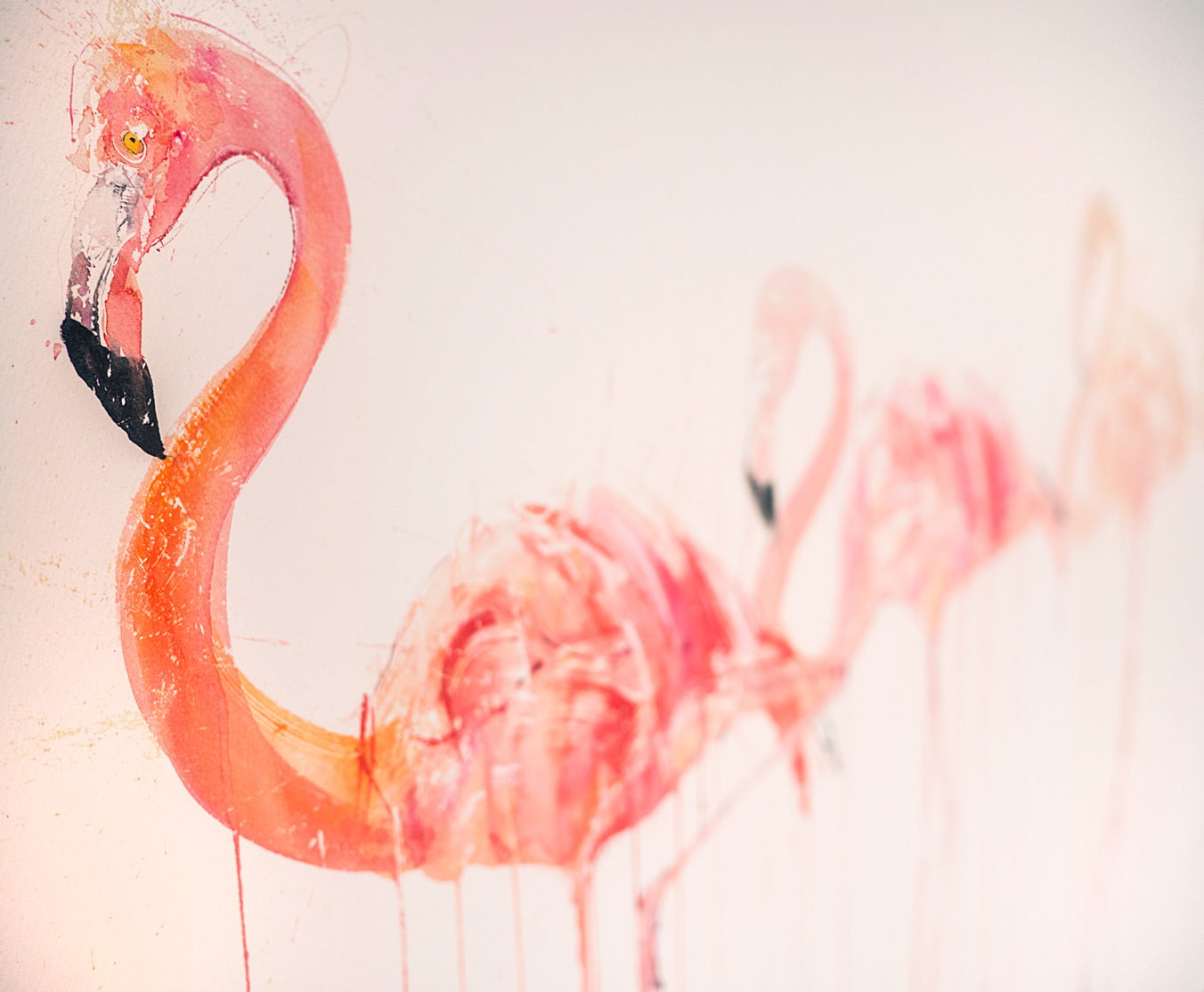 Flamingo Movement - A/P - Image 5