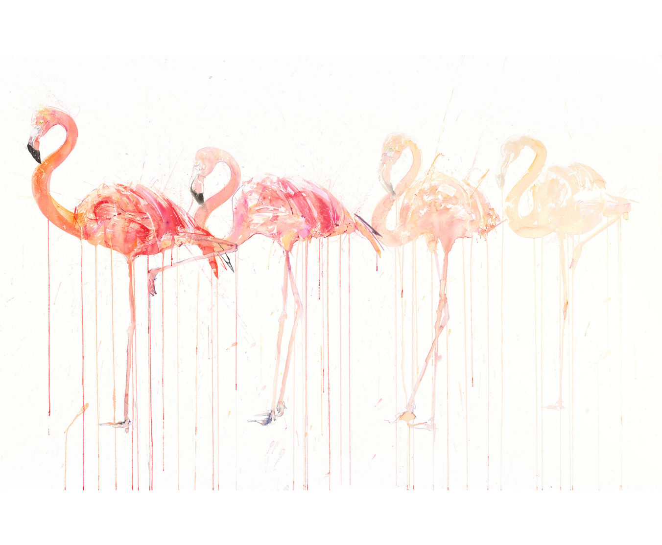 Flamingo Movement - A/P