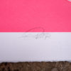 Wintergreen - AP - Image 4