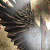 Angel of Hope - A/P - Image 3