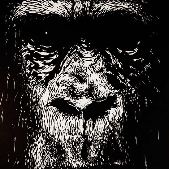 Alex Binnie Artwork