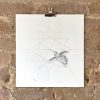 Hummingbird - Gold