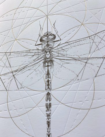 Emperor Dragonfly Prism [Gold & Clear Foil]