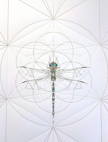 Emperor Dragonfly Prism - Hand Embellished