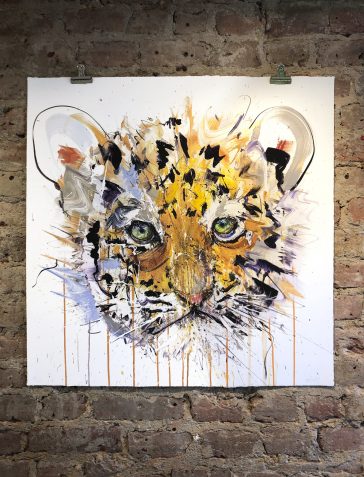 Tiger Cub - Standard