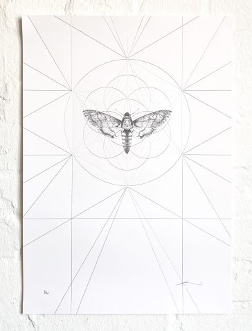 Death's Head Moth Prism [Silver & Clear Foil]