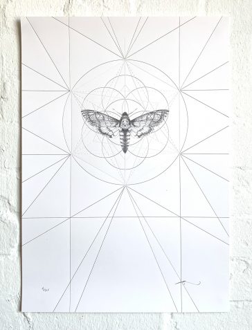 Death's Head Moth Prism [Gold & Clear Foil]