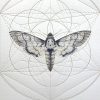 Death's Head Moth Prism [Hand Embellished]