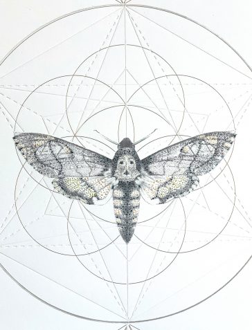 Death's Head Moth Prism [Hand Embellished]