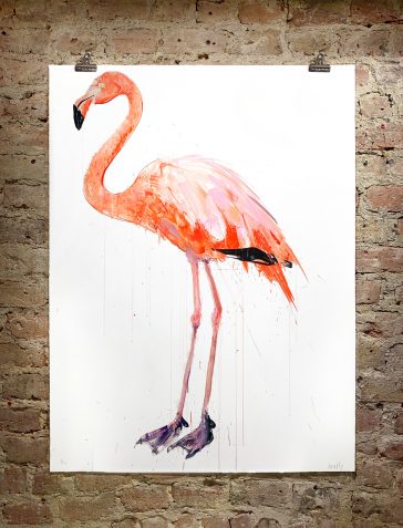 Flamingo I - 2019 [Standard]