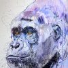 Silverback VII - Diamond Dust