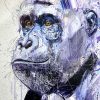 Silverback VII - Diamond Dust - Image 6