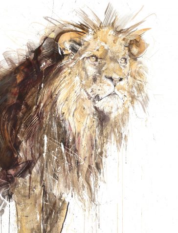 Lion - 2020