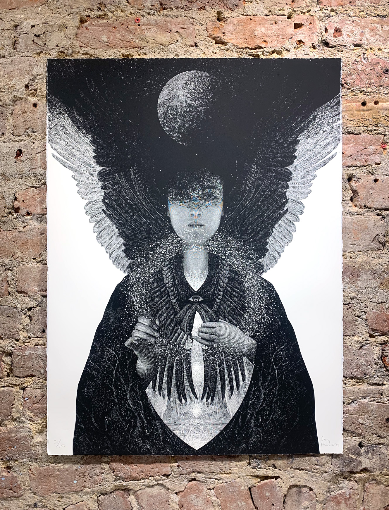 Shade Of The Living Light By Dan Hillier Nelly Duff