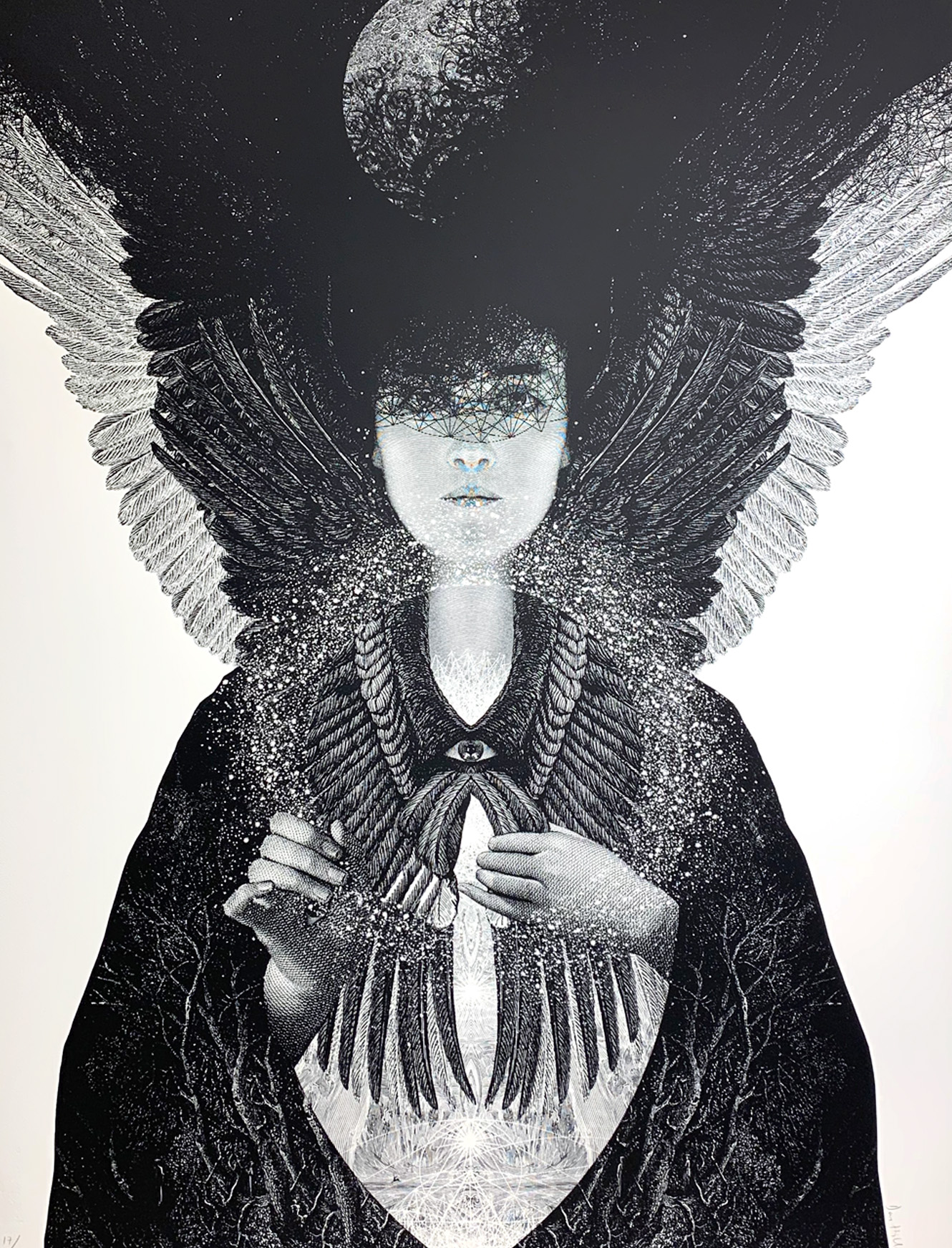 Shade Of The Living Light Xl By Dan Hillier Nelly Duff