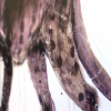 Panther - Image 4