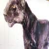 Panther - Image 2