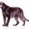 Panther - Image 6