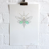 Iridescent Cicada