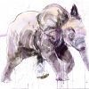 Young Elephant II - Standard - Image 4
