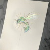 Cuckoo Wasp - Iridescent Insect - Image 5