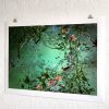 Jade Morning - Image 3
