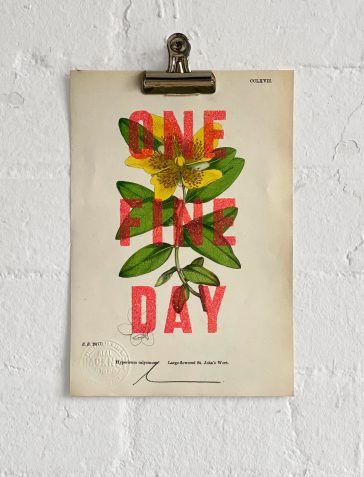 One Fine Day - Medio