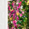 Paradise - Standard - Artist Proof - Image 6