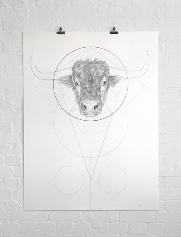 Bull & Golden Circle - Large