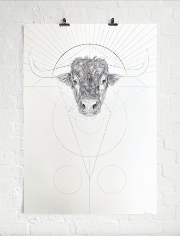 Bull & Golden Circle - Head Rays - Large