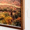 Treeline II - Artist's Proof - Image 4