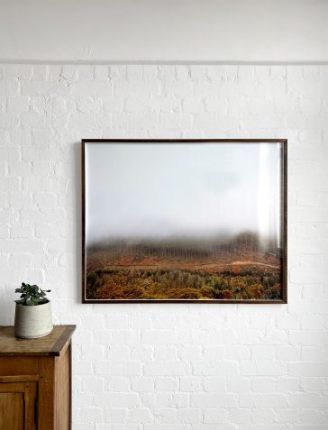 Treeline II - Artist's Proof
